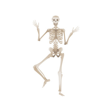 Vector flat funny human skeleton dancing icon