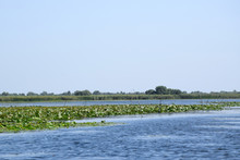 Fortuna Lake (Lacul Furtuna). Danube Biosphere Reserve - Danube Delta, Romania.