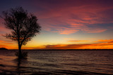 Fototapeta Na ścianę - Sunset on beach. Tree on othe water.