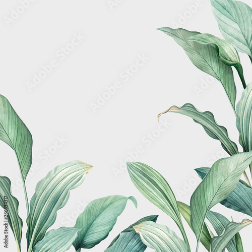 Cuadros en Lienzo Tropical leaves background