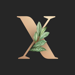 Poster - Botanical font letter X