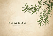 Bamboo Leaf Background