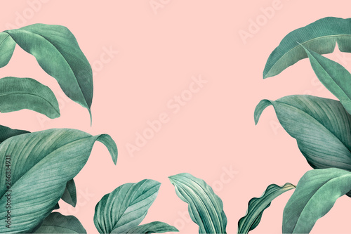 Fotografía Tropical leaves frame