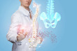 © natali_mis - The doctor clicks on the spine .