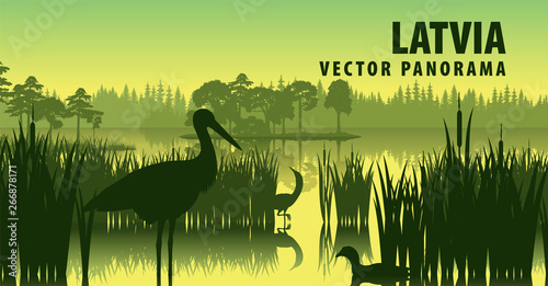 Fotografía vector panorama of Latvia with black stork