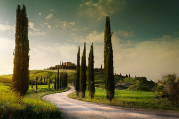 summer farmland and country road;  tuscany countryside rolling hills