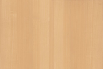 light brown tree wood wallpaper structure texture background pattern