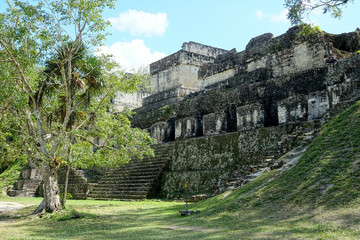 Wall Mural - Guatemala archaeological site of Tikal