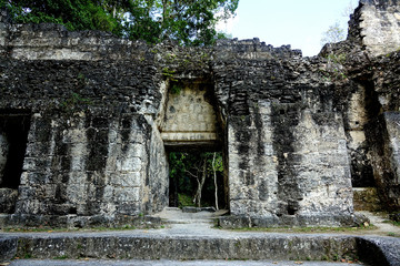 Wall Mural - Guatemala archaeological site of Tikal