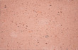 The texture of stone coral color