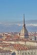 panoramic view of the city of Turin