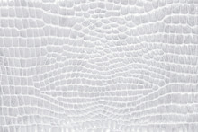 Crocodile Skin Gray, White, Color, Perfectly Will Be Suitable For Any Design Purposes. Rock Texture. Nature Background.