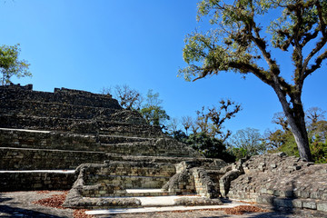 Wall Mural - Hondura Copan Ruinas