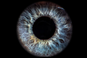 iris auge blau vor schwarzem hintergrund