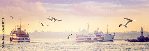 Doppelrollo mit Motiv - Panorama of Istanbul in sunset. (von Repina Valeriya)