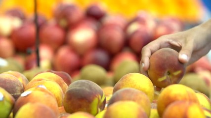 Wall Mural - Woman's hand choosing peaches in supermarket.