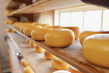 Fototapeta  - Process of producing in dairy industry - fresh produced cheese in a cheesery on the shelf (for selling)