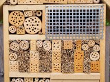 Insektenhotel - Unterschlupf für viele Nützlinge