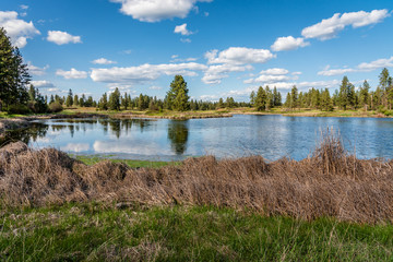 middle pine lake at turnbull national wildlife refuge