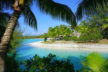 Wall Mural - View of a tropical landscape with palm trees, white sand and the turquoise lagoon water in Bora Bora, French Polynesia, South Pacific