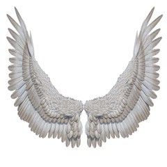 3D Rendered White Fantasy Angel Wings on White Background - 3D Illustration