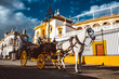 Seville Real Maestranza bullring plaza toros de Sevilla in andalusia Spain