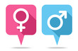 Sprechblasen Icons Weiblich & Männlich Abgerundet Pink/Blau