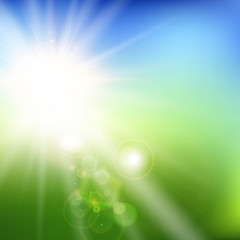 Wall Mural - summer blurred green field and blue sky landscape background with sunlight.