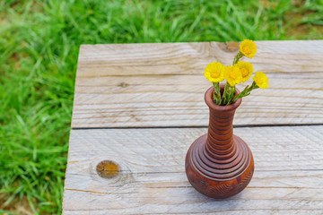 Freshly cut yellow coltsfoot flowers in clay vase on wooden table outdoors. Rustic style.