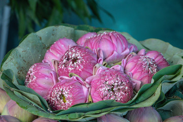 Pink lotus bouquet flowers with water drop at flower market.Selective focus pink water lilies bouquet.