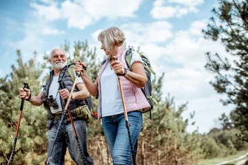 Happy senior couple hiking with trekking sticks and backpacks at the young pine forest. Enjoying nature, having a good time on their retirement