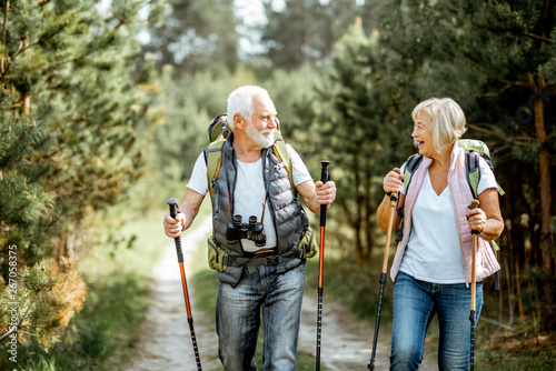 Cuadros en Lienzo Happy senior couple hiking with trekking sticks and backpacks at the young pine forest