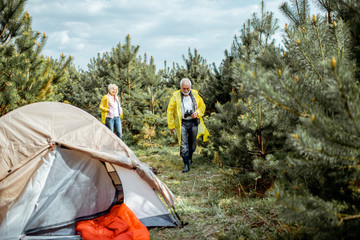 Wall Mural - Senior couple in yellow raincoats at the campsite in the young pine forest