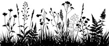 Black Silhouettes Of Meadow Wild Herbs And Flowers. Wildflowers. Floral Background. Wild Grass. Vector Illustration.