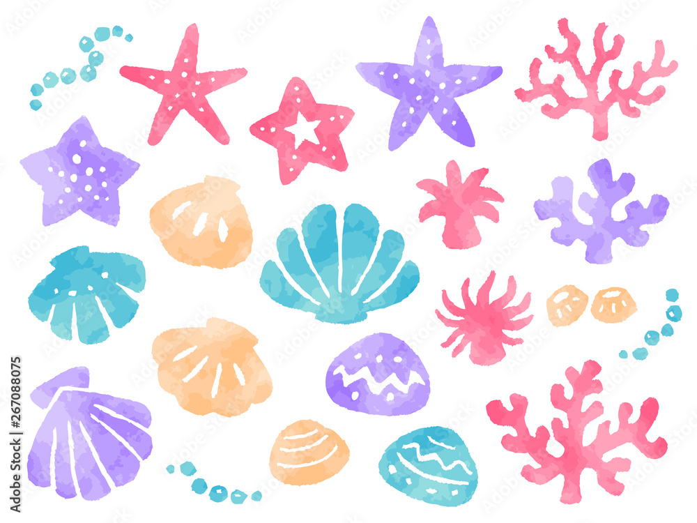 海モチーフの水彩風イラストセット ヒトデ 貝 サンゴ Anemone Wall Mural Anemo Nora Hachio