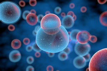 Wall Mural - t cells attacking cancer cells 3d illustration