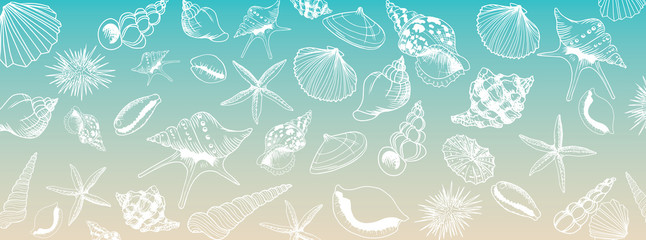 Vector seashell banner