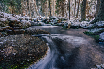 Beautiful long exposure photograph of a stream or creek in winter. Water flowing through winter, spring or autumn wood. Rocks in a river, motion blur. Hamersky potok in Sumava national park, Czechia.