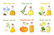 Set of vegetable oils in glass bottles of different shapes. Mustard, sesame, pumpkin, chia, linseed and grape seed oil isolated on white background. Vector illustration of food in cartoon flat style.