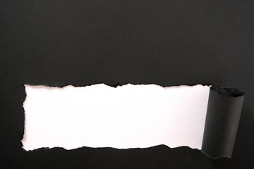 Torn black paper white background straight