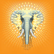 Global Warming Elephant in The Room ? Front Realistic Illustration of African Elephant –  Sun Geometrical Decorative Design - Metamorphosis - Symmetrical Isolated Composition