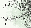 The birds on the tree branches in the spring forest