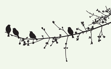 the birds on a tree branch in the spring time