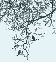 Naklejka ptak pąk drzewa