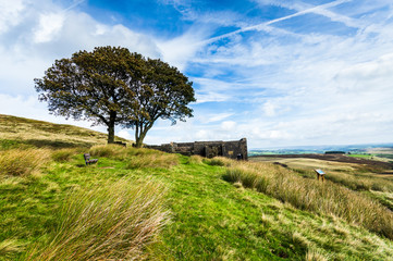 Wall Mural - Top Withens, Haworth moor. Yorkshire