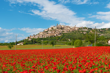 Trevi (Italy) - The awesome medieval town in Umbria region, central Italy, during the spring and flowering of poppies.