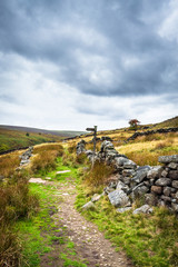 Wall Mural - Haworth moor, Yorkshire