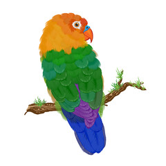 Tropical parrot on a white background. Vector illustration