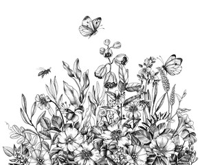 Wall Mural - Hand Drawn Wild Flowers, Bees  and Butterfly