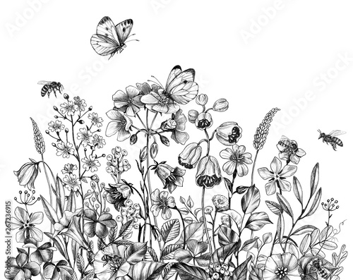 Hand Drawn Wildflowers Bees And Butterfly Stock Illustration Adobe Stock